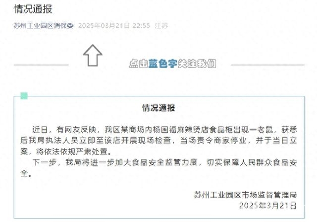 惊！苏州杨国福店食品柜现老鼠，后续处置引关注
