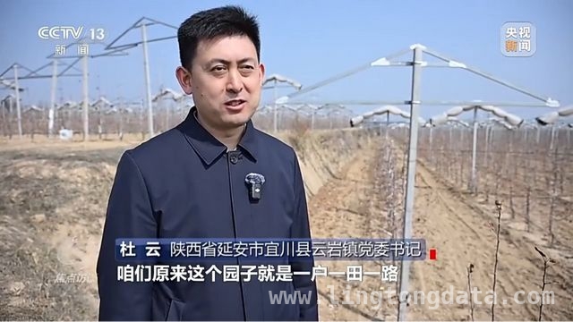 延安苹果：产业升级助力乡村振兴腾飞