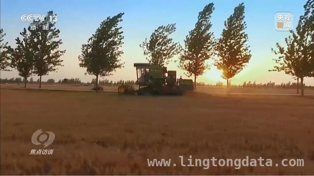 延安苹果：产业升级助力乡村振兴腾飞