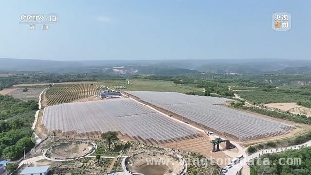 延安苹果：产业升级助力乡村振兴腾飞