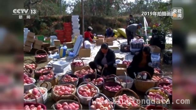 延安苹果：产业升级助力乡村振兴腾飞