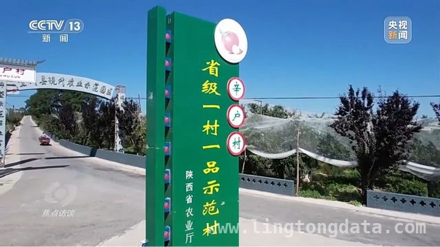 延安苹果：产业升级助力乡村振兴腾飞