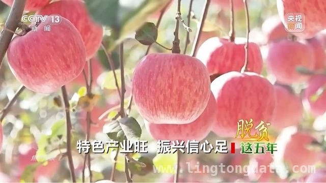 延安苹果：产业升级助力乡村振兴腾飞