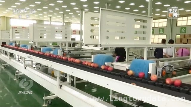 延安苹果：产业升级助力乡村振兴腾飞