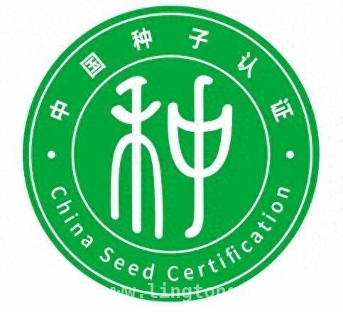 种子认证“开花结果”，为种业高质量发展添动力