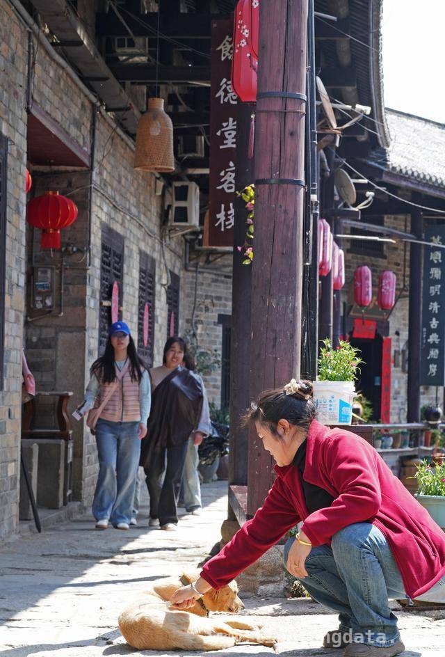 张谷英村：600 年古村焕发出的新活力