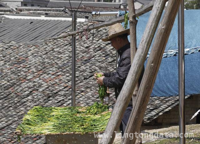 张谷英村：600 年古村焕发出的新活力