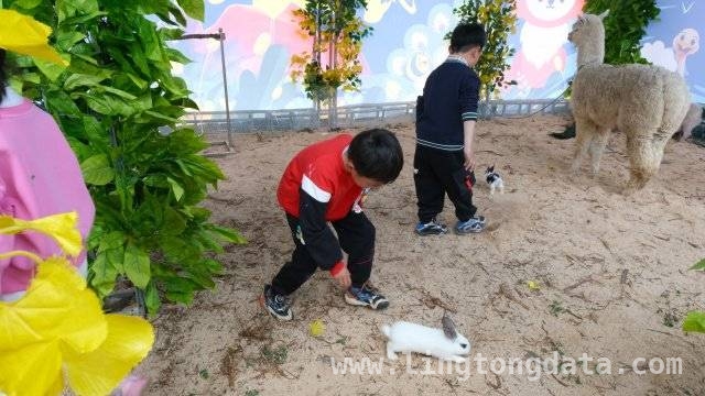 第22届师宗“三月三”，解锁壮乡春日新玩法！，师宗“三月三”旅游季，传统与潮流共绘壮乡春天！