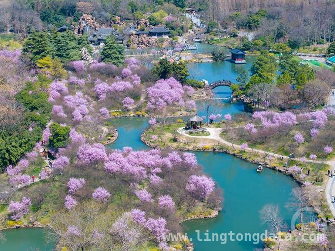 定格蛇年春光：瘦西湖春色摄影大赏
