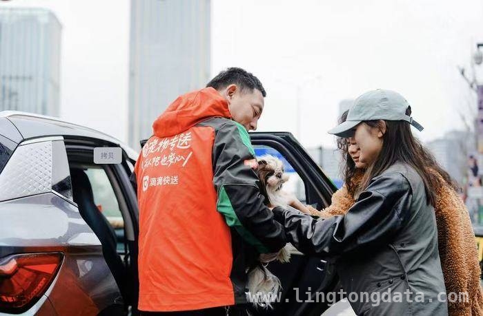滴滴快送宠物专送服务：解决人宠运输难题