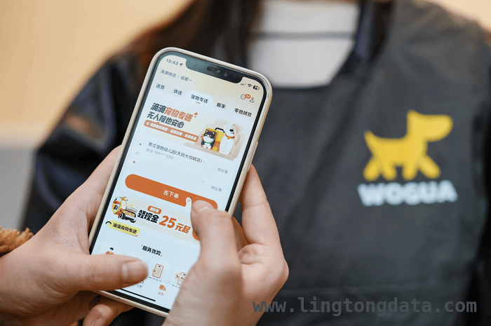 滴滴快送宠物专送服务：解决人宠运输难题