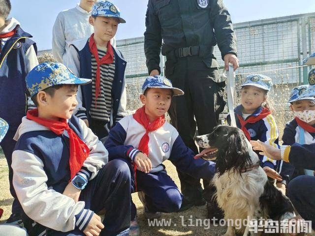 青岛仟帆少年义工团带领学生探秘警犬的精彩时刻，警犬基地探秘：岛城中小学生的难忘体验