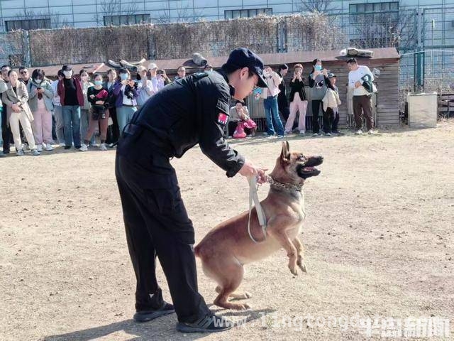 青岛仟帆少年义工团带领学生探秘警犬的精彩时刻，警犬基地探秘：岛城中小学生的难忘体验