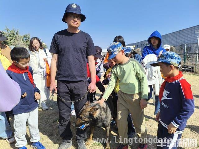 青岛仟帆少年义工团带领学生探秘警犬的精彩时刻，警犬基地探秘：岛城中小学生的难忘体验