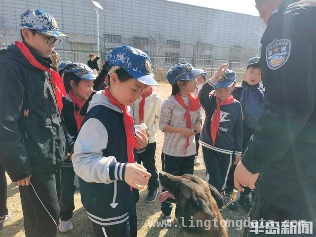 青岛仟帆少年义工团带领学生探秘警犬的精彩时刻，警犬基地探秘：岛城中小学生的难忘体验