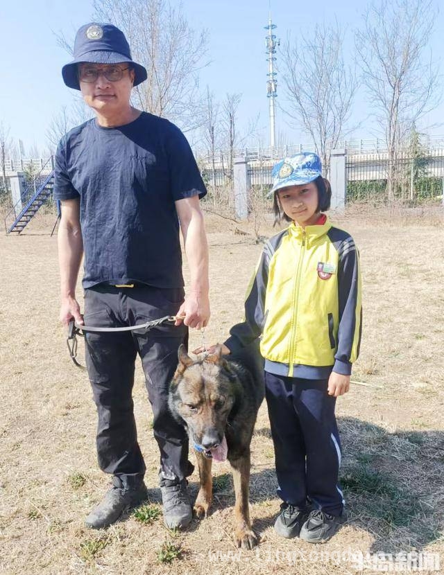 青岛仟帆少年义工团带领学生探秘警犬的精彩时刻，警犬基地探秘：岛城中小学生的难忘体验