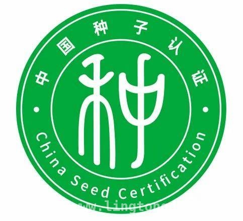 2025年首批认证种子上市，为粮油单产提升助力 种子认证“开花结果”，推动我国种业高质量发展