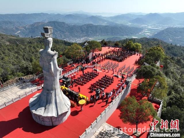 乙巳太姥祭典：传承白茶文化，推动产业融合发展