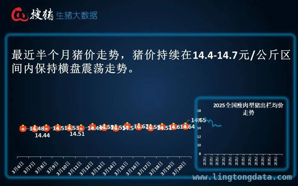 3月21日猪价动态：小幅上扬，市场走向何方？，3月21日猪市：出栏价微升，消费端支撑待显