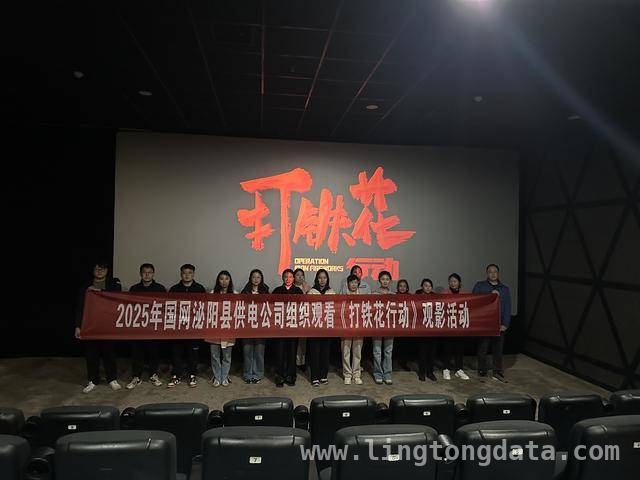 观影打铁花行动，国网泌阳县供电公司员工受红色精神洗礼 国网泌阳县供电公司观影打铁花行动，汲取红色奋进力量