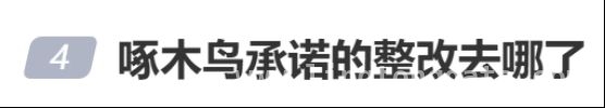 “啄木鸟”整改承诺成空话？消费者权益谁来守护！ 315点名后，“啄木鸟”整改进展引质疑！
