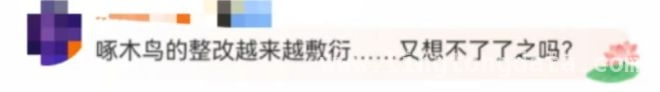 “啄木鸟”整改承诺成空话？消费者权益谁来守护！ 315点名后，“啄木鸟”整改进展引质疑！