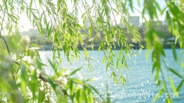 高洪波诗入香港教材，背后是对孩子的深情馈赠 从稿费难题到荣誉证书，高洪波与香港教育的故事
