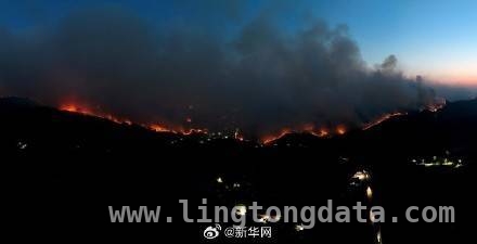 韩国多地因山火进入“灾难状态”，4名消防员不幸遇难