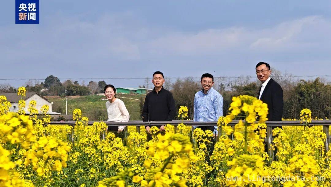 从油菜花田舞蹈到乡村经济发展，秀水镇的别样宣传路 乡镇干部油菜花田热舞，为家乡旅游注入新活力