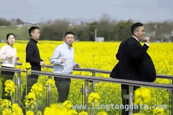 从油菜花田舞蹈到乡村经济发展，秀水镇的别样宣传路 乡镇干部油菜花田热舞，为家乡旅游注入新活力