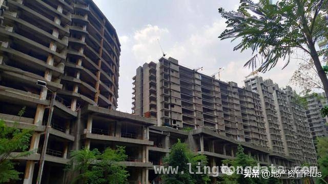 园区建设成“圈地运动”，谁来为这场闹剧买单？