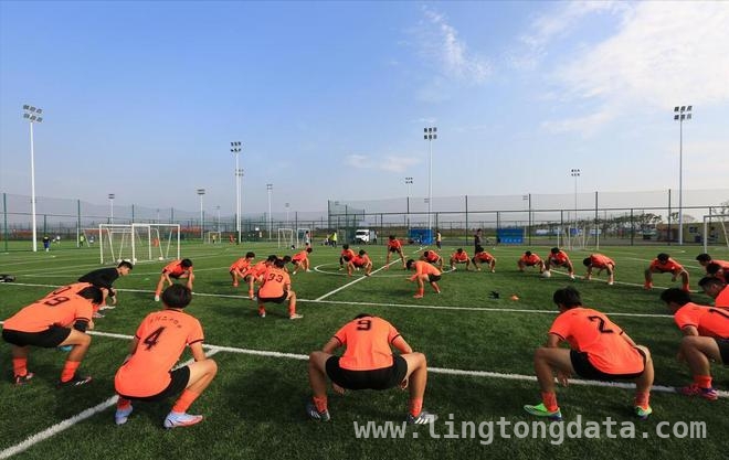 中国足球青训：现状、挑战与鲁能足校新方案之思辨，中国足球青训痛点待解，鲁能足校政策调整引关注