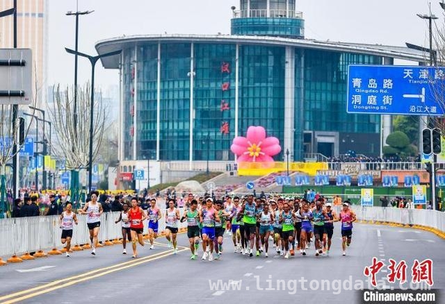 2025汉马：最美赛道邂逅樱花季，4万跑者齐聚，2025武汉马拉松魅力绽放