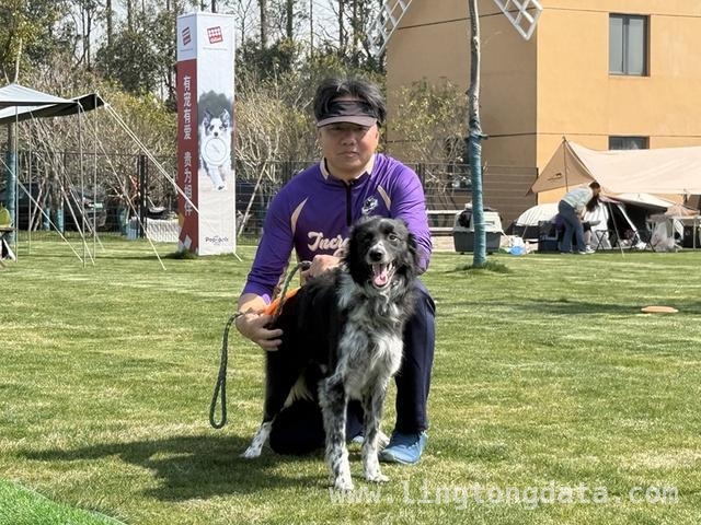 崇明长兴岛：飞盘犬选手云集，角逐世界杯入场券！，2025冠能飞盘犬赛，崇明长兴岛汇聚“汪星人”精英！