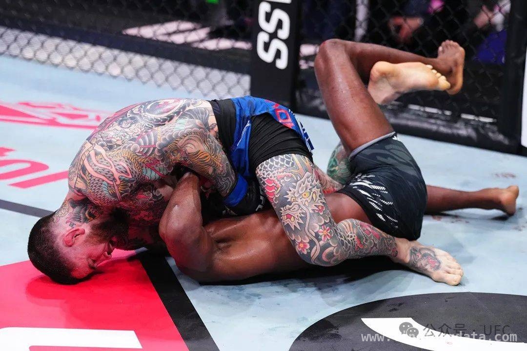 震撼UFC赛事：众多选手命运在此改写，UFC激战落幕：各量级赛事胜负分明