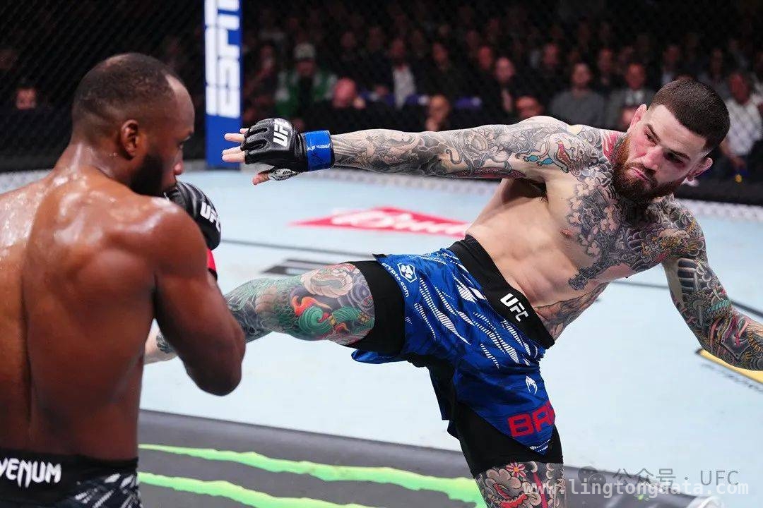 震撼UFC赛事：众多选手命运在此改写，UFC激战落幕：各量级赛事胜负分明