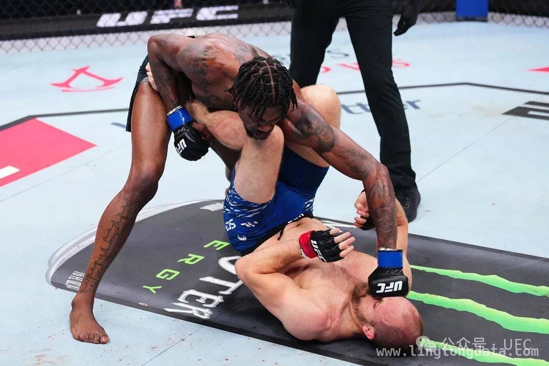 震撼UFC赛事：众多选手命运在此改写，UFC激战落幕：各量级赛事胜负分明