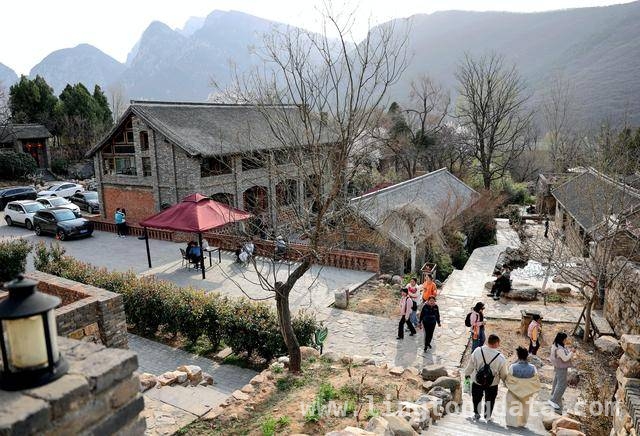 走进杨家门：感受传统与现代交织的乡村魅力，杨家门古村落：隐匿嵩山的世外桃源焕新生