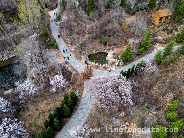 走进杨家门：感受传统与现代交织的乡村魅力，杨家门古村落：隐匿嵩山的世外桃源焕新生