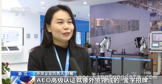 民营经济突围：品牌与政策双轮驱动，民营经济崛起：多举措助力企业腾飞