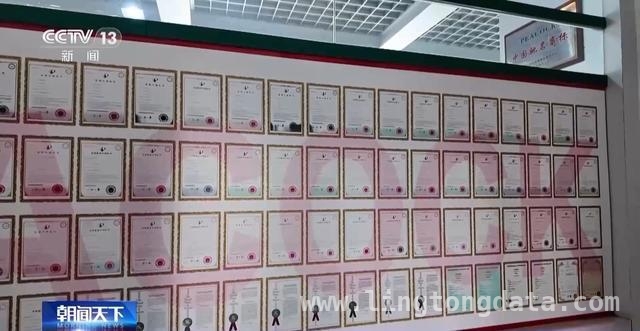 民营经济突围：品牌与政策双轮驱动，民营经济崛起：多举措助力企业腾飞