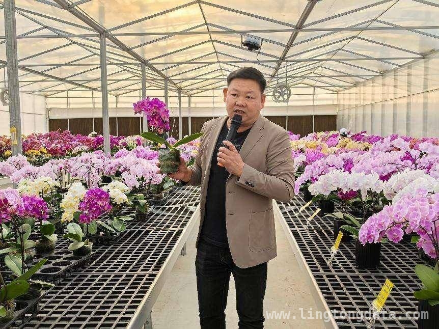 “走进银城·唱响同安”活动，揭秘同安区春日经济发展密码
