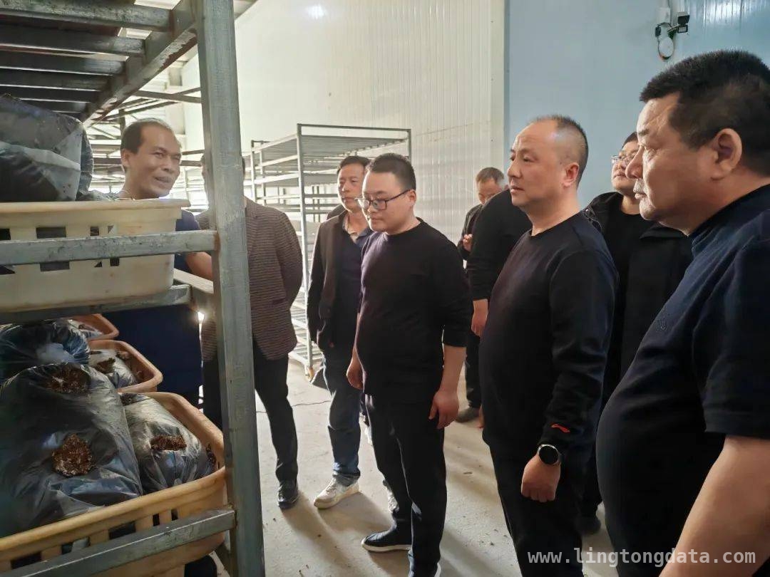 清丰县纸房乡观摩取经，为乡村振兴注入新活力
