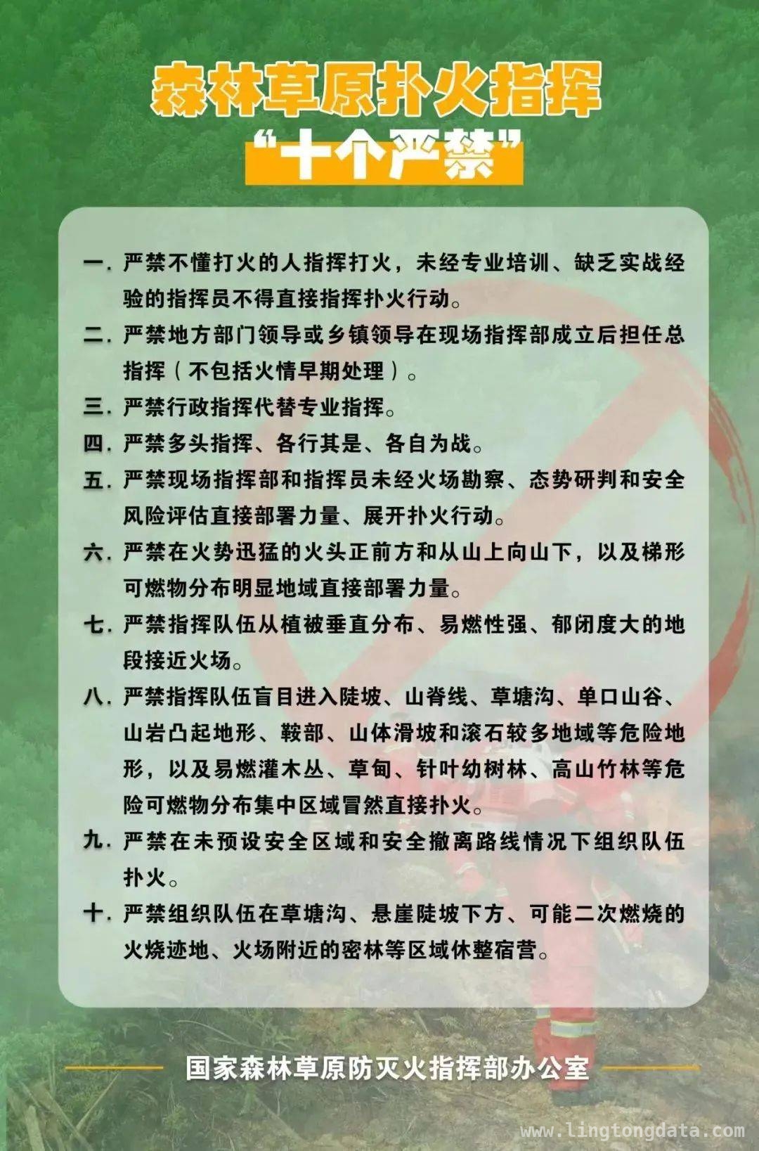 韩国山火致4名消防员牺牲，起火原因待查