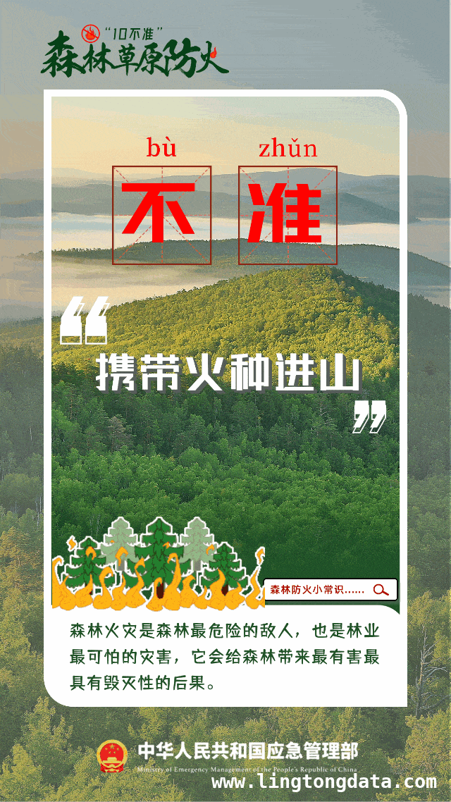 韩国山火致4名消防员牺牲，起火原因待查
