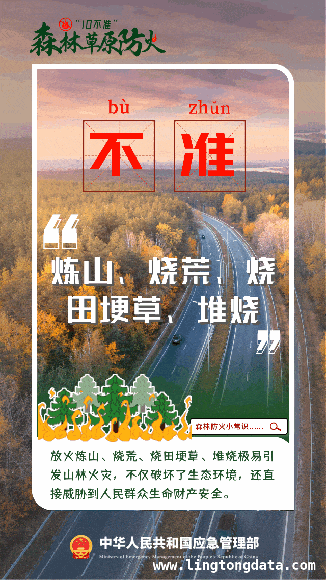 韩国山火致4名消防员牺牲，起火原因待查