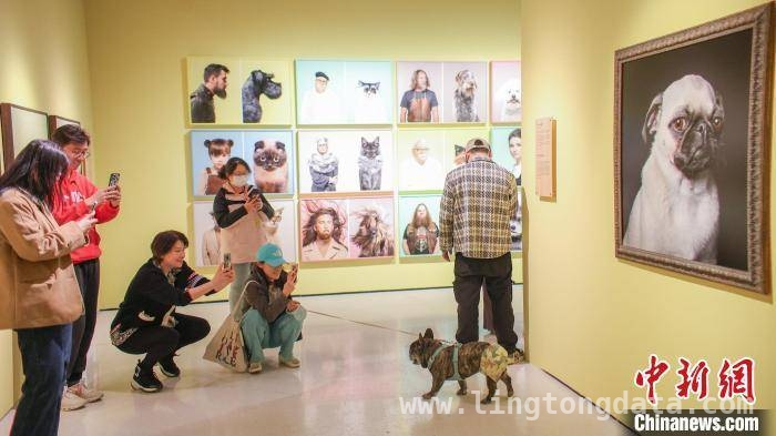 国际小狗日，〈宠物总动员〉展开启人与宠物的温馨之旅