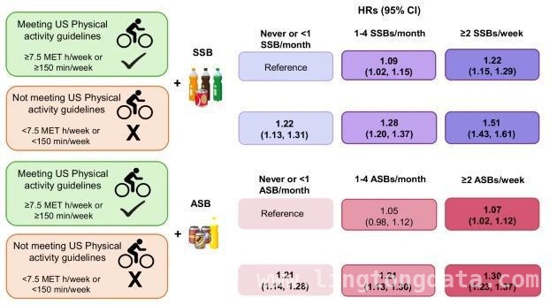 健康新发现：昏暗睡眠、晚餐时间和活动的秘密 超21万人研究：饮食与健康的长期关联