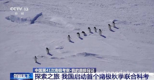 中国第41次南极考察队秋季罗斯海联合航次开启，填补科考空白，南极秋季“黑暗季节”，中国第41次考察队罗斯海联合航次揭秘生物生存奥秘