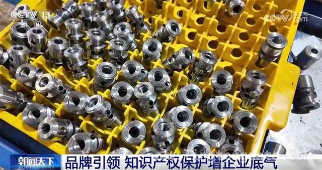 民营经济蓬勃发展：政策优惠与品牌保护齐头并进